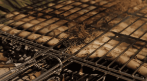 Calçotada en Madrid con carnes a la brasa